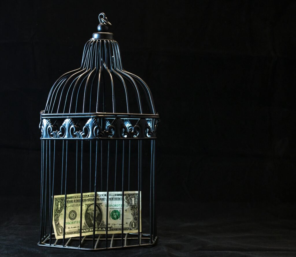 pexels-photo-747113-747113 A dollar bill imprisoned in a decorative cage symbolizing financial confinement.